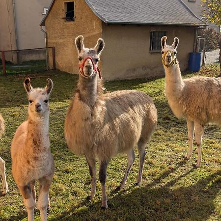 Ferienwohnungen Satkula Crostwitz エクステリア 写真