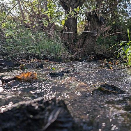 Ferienwohnungen Satkula Crostwitz エクステリア 写真